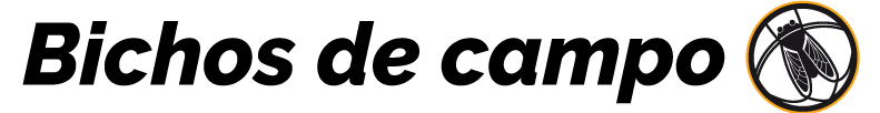 bichos